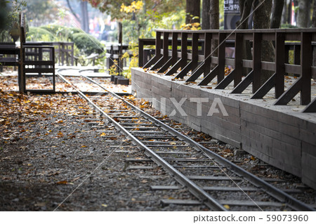 南怡島的火車軌道 59073960