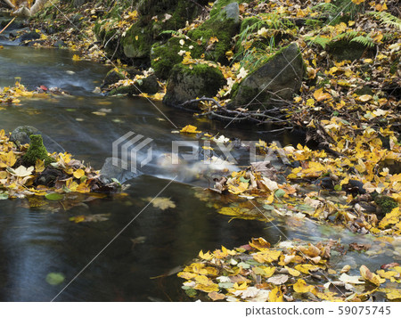 Long exposure magic forest stream cascade creek in Long exposure magic forest stream cascade creek in 59075745