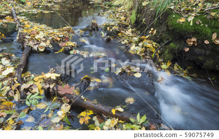 Long exposure magic forest stream cascade creek in Long exposure magic forest stream cascade creek in 59075749