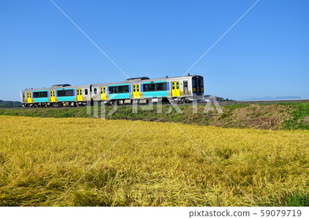 Suigun Line and golden ear of rice 59079719