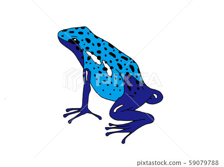 藍蛙鈷箭蛙 59079788
