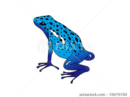 藍蛙鈷箭蛙 59079789