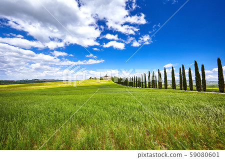 Landscape of Val d'Orcia province. Tuscany, Italy. 59080601