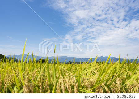 稻田藏王山脈東北山脈 59080635