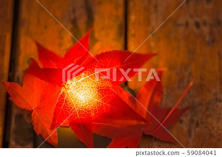 autum leaves background autum leaves background 59084041