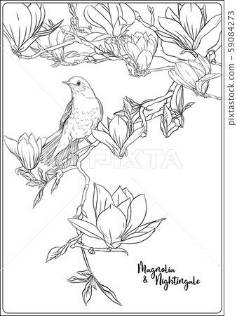 Magnolia tree branch 59084273