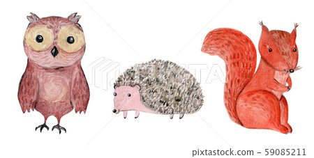 Cute watercolor owl, hedgehog and squirrel Cute watercolor owl, hedgehog and squirrel 59085211