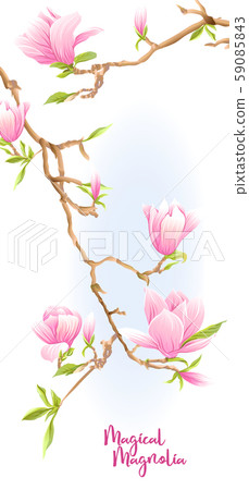 Magnolia tree branch with flowers. - Stock Illustration [59085843] - PIXTA