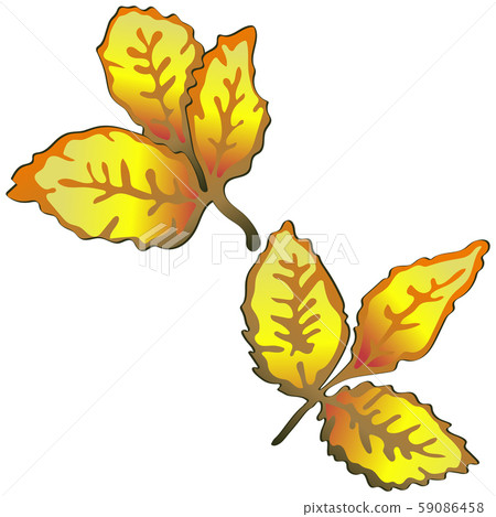 Vector autumn yellow rose hip leaves. Isolated illustration element. 59086458