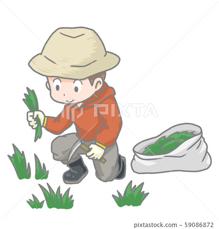 一個男人除草的插圖 59086872