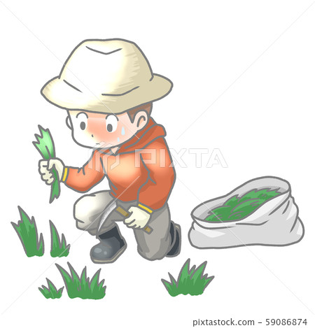 一個男人除草的插圖 59086874