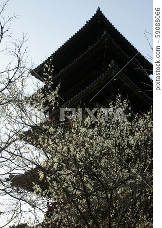 四季漫步春季 59088066