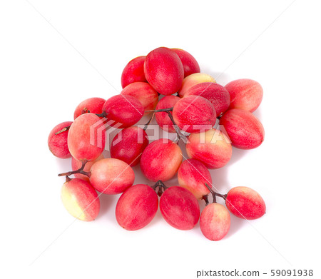 Carissa carandas Linn,Karanda, Carunda isolated on white background 59091938