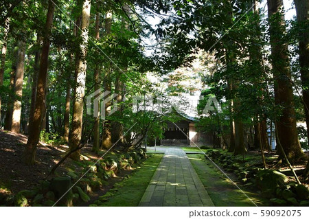 Autumn Yahiko Shrine power spot Autumn Yahiko Shrine power spot 59092075