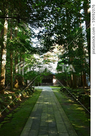 Autumn Yahiko Shrine power spot Autumn Yahiko Shrine power spot 59092076
