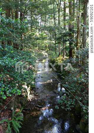 Autumn Yahiko Shrine power spot 59092101
