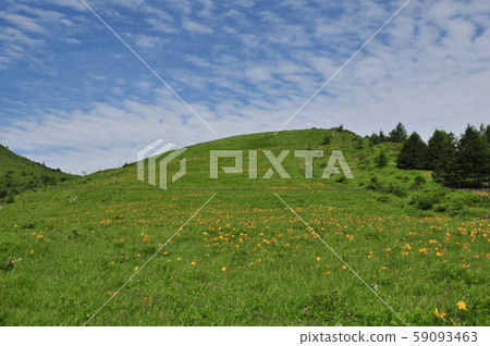 Nikko Kishge at the Kuruma Kogen Nikko Kishge at the Kuruma Kogen 59093463