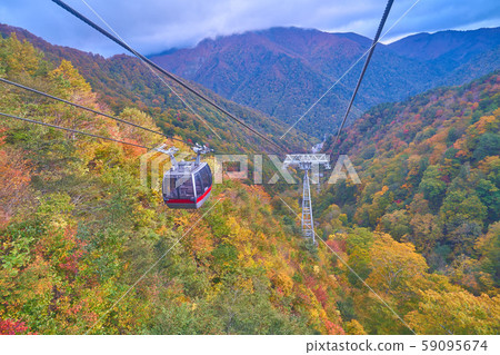 群馬縣水上市秋天的顏色中的谷川纜車道 群馬縣水上市秋天的顏色中的谷川纜車道 59095674