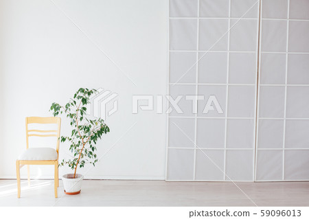 green home plant in the interior of a white empty room green home plant in the interior of a white empty room 59096013