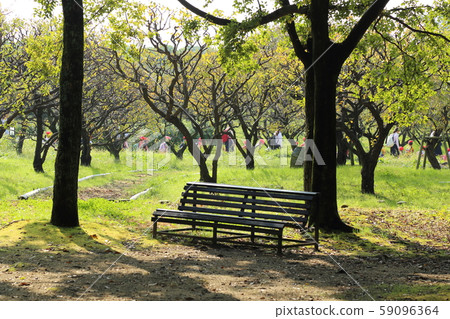 Expo Memorial Park [Natural Cultural Park] Suita City, Osaka Prefecture 59096364