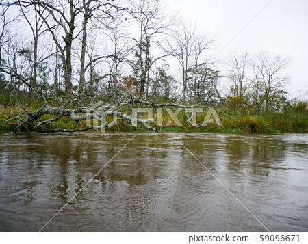 Wetlands canoeing down the river Hokkaido kayak 59096671