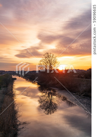 Minuma rice field sunrise, winter morning scenery Minuma rice field sunrise, winter morning scenery 59096685