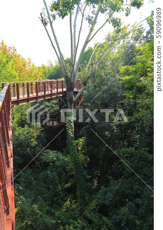 Expo Memorial Park [Natural Cultural Park / Sollard (Aerial Observation Route of Forest)] Suita City, Osaka Prefecture 59096989