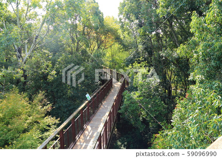 Expo Memorial Park [Natural Cultural Park / Sollard (Aerial Observation Route of Forest)] Suita City, Osaka Prefecture 59096990