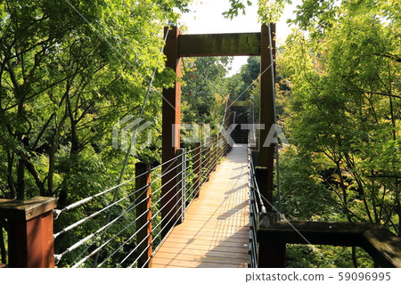 世博紀念公園[自然文化園 - Sorado(森林空中觀察路)吹田,大阪府 世博紀念公園[自然文化園 - Sorado(森林空中觀察路)吹田,大阪府 59096995