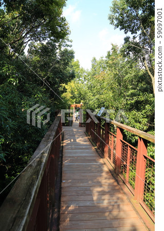 Expo Memorial Park [Natural Cultural Park / Sollard (Aerial Observation Route of Forest)] Suita City, Osaka Prefecture 59097001