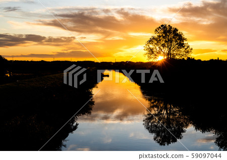 Minuma rice field beautiful scenery of winter morning 59097044