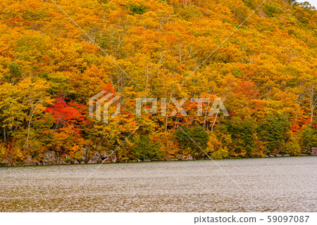 滋賀高原的紅葉[長野縣長野縣] 59097087