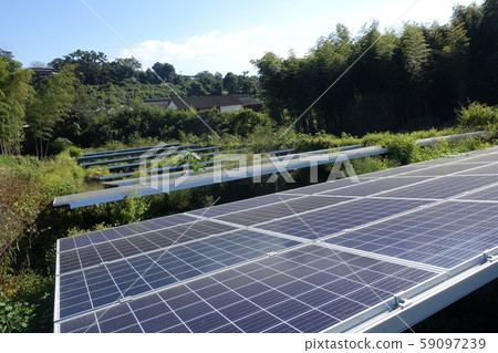 Solar power plant surrounded by weeds 59097239