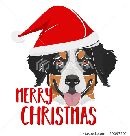 Illustration Bernese Mountain Dog Merry Christmas 59097501