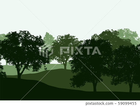 A row of deciduous trees in a green forest in A row of deciduous trees in a green forest in 59099455
