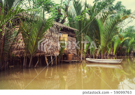 Mekong delta Mekong delta 59099763