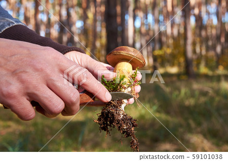 Close-up view of a young woman's hands looking for 59101038