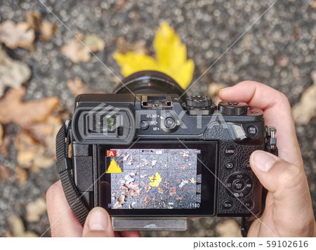 Taking pictures of colorful leaves in autumn 59102616