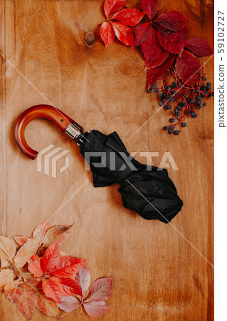 background of autumn yellow leaves and rain umbrella background of autumn yellow leaves and rain umbrella 59102727