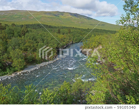 Blue glacial river canyon and green birch tree Blue glacial river canyon and green birch tree 59105340