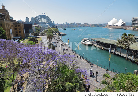 View of Sydney 59105455