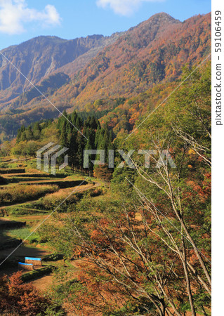 秋山谷的秋天谷和秋季山 59106459