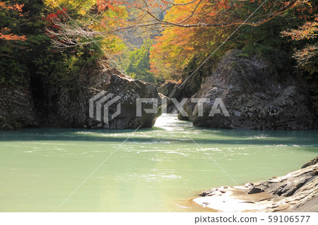 Autumn in Akiyamago Nakatsugawa Valley under the Sarutobi Bridge 59106577