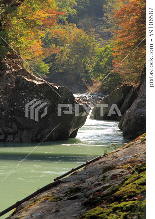 Autumn in Akiyamago Nakatsugawa Valley under the Sarutobi Bridge 59106582