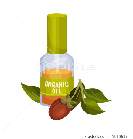 Jojoba Organic Oil Bottle with Jojoba Branch and Fruit Next to It Vector Illustration 59106953