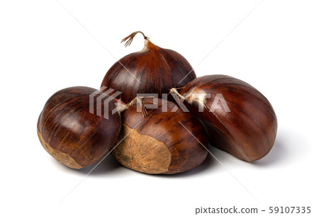 chestnuts on a white background chestnuts on a white background 59107335