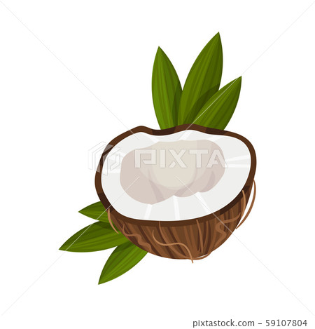Coconut Half Piece with Leaves Isolated On White Background Vector Illustration 59107804