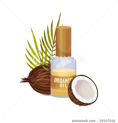 Bio Coconut Oil Bottle and Cross Cut Nut Vector... - Stock Illustration  [59107816] - PIXTA