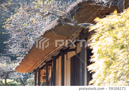 在老日本房子裡的茅草屋頂的房子的細節 在老日本房子裡的茅草屋頂的房子的細節 59108271
