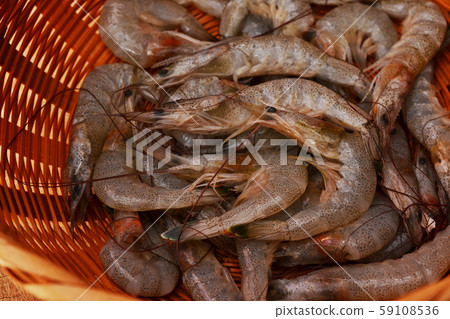 Fresh, shrimp in stock Fresh, shrimp in stock 59108536